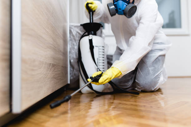 Best Bed Bug Extermination  in Man, IL