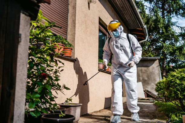 Best Flea Control Services  in Man, IL