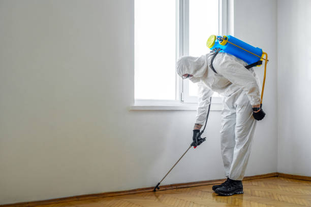 Reliable Milan, IL Pest Control Solutions