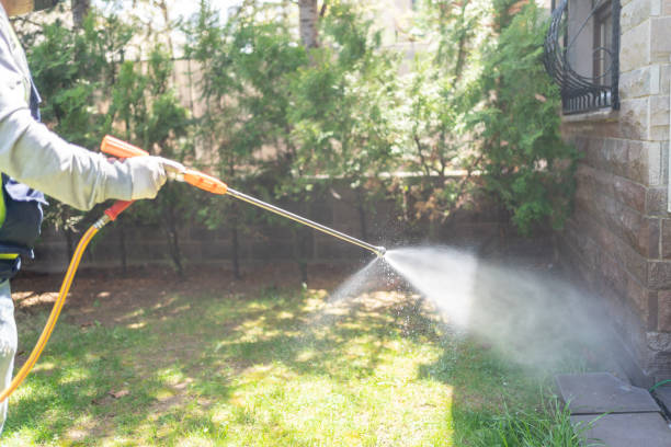 Best Exterminator Services  in Man, IL